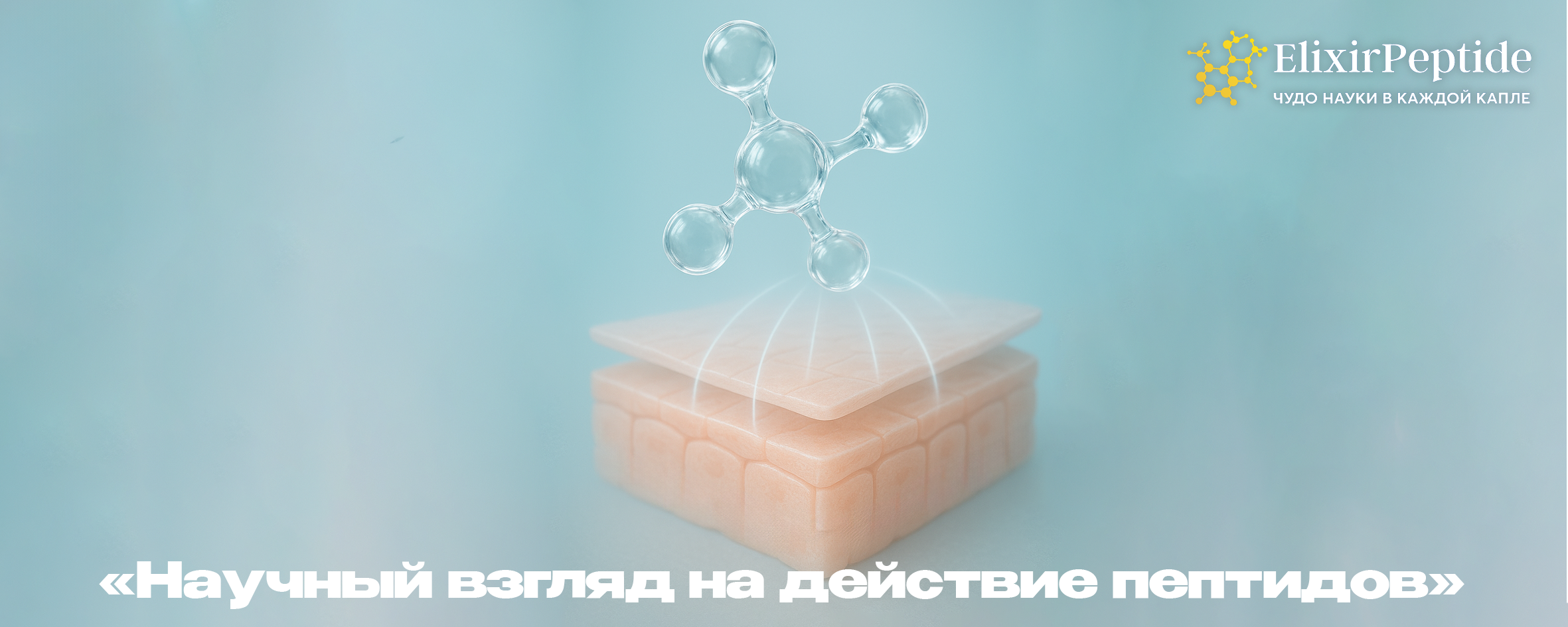 Научный взгляд на действие пептидов